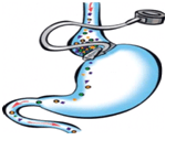 %d7%98%d7%91%d7%a2%d7%aa