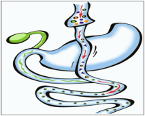 %d7%9e%d7%a2%d7%a7%d7%a3